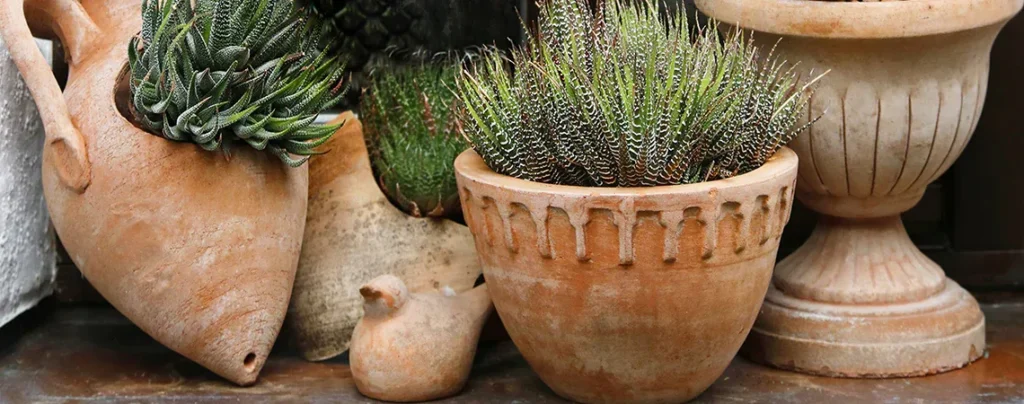 Ceramic and Terracotta Pots